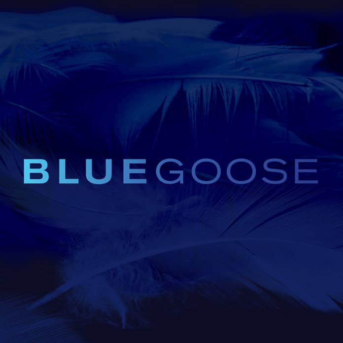 Bluegoose Events | We create experiences that matter.